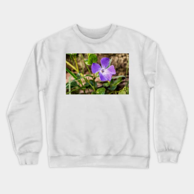 10116 purple Crewneck Sweatshirt by pcfyi